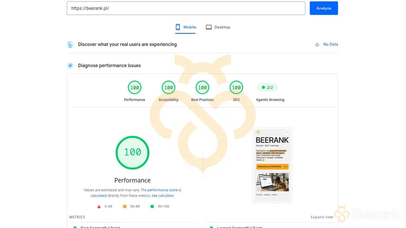 beerank-page-speed