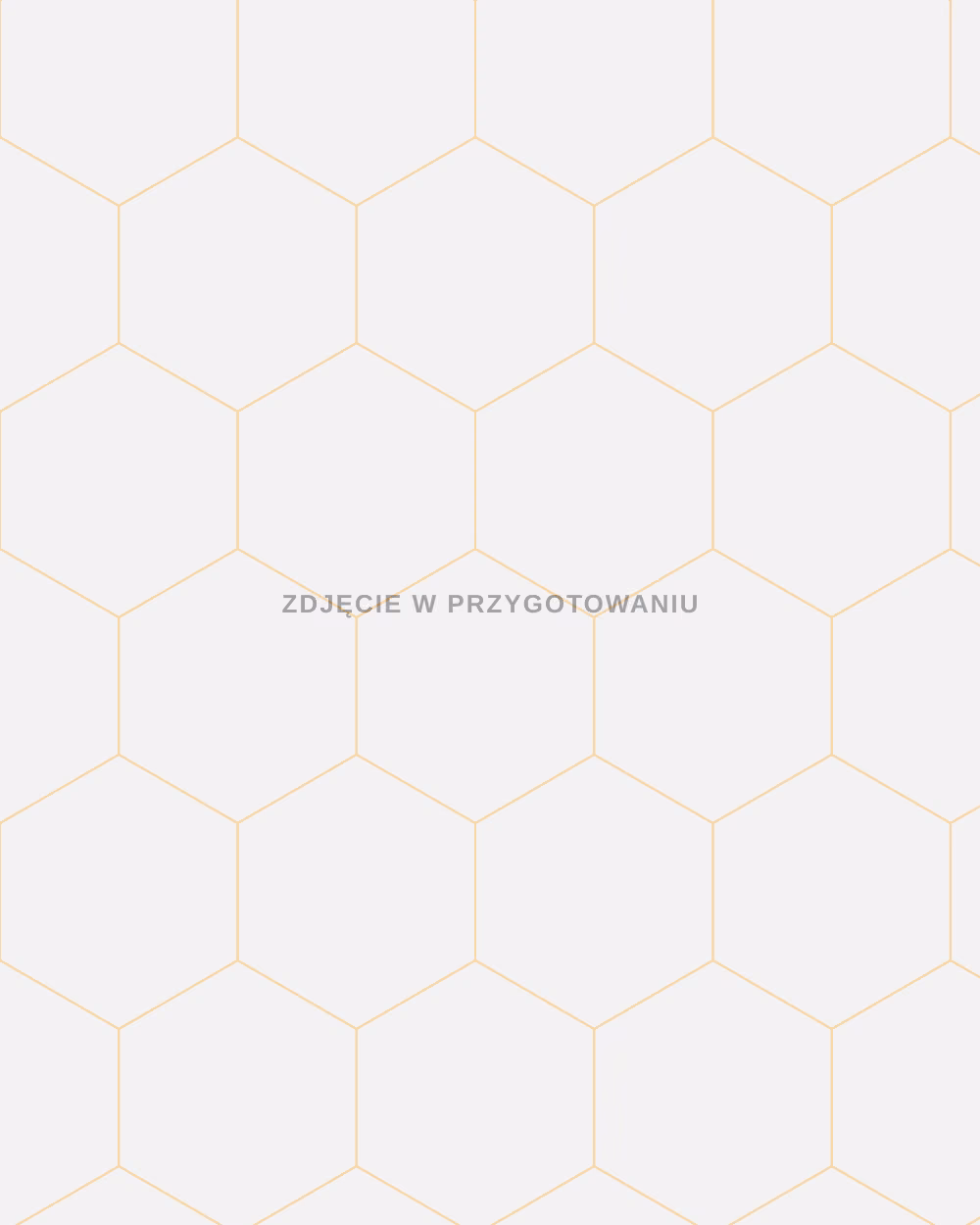 Zespół Beerank podczas pracy nad kampanią reklamową